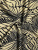 00-00007176_001