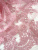 00-00003700_004