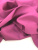 00-00002455_002 00-00002455_002