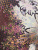 00-00002884_004 00-00002884_004