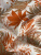 00-00006506_002 00-00006506_002