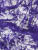00-00001969_003