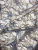 00-00001493_003 00-00001493_003