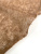 00-00006736_002 00-00006736_002