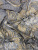 00-00002975_003