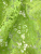 00-00001483_002 00-00001483_002